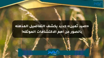 «صيد ثمين» جديد يكشف التفاصيل المذهلة بالصور عن أهم الاكتشافات الموثقة!